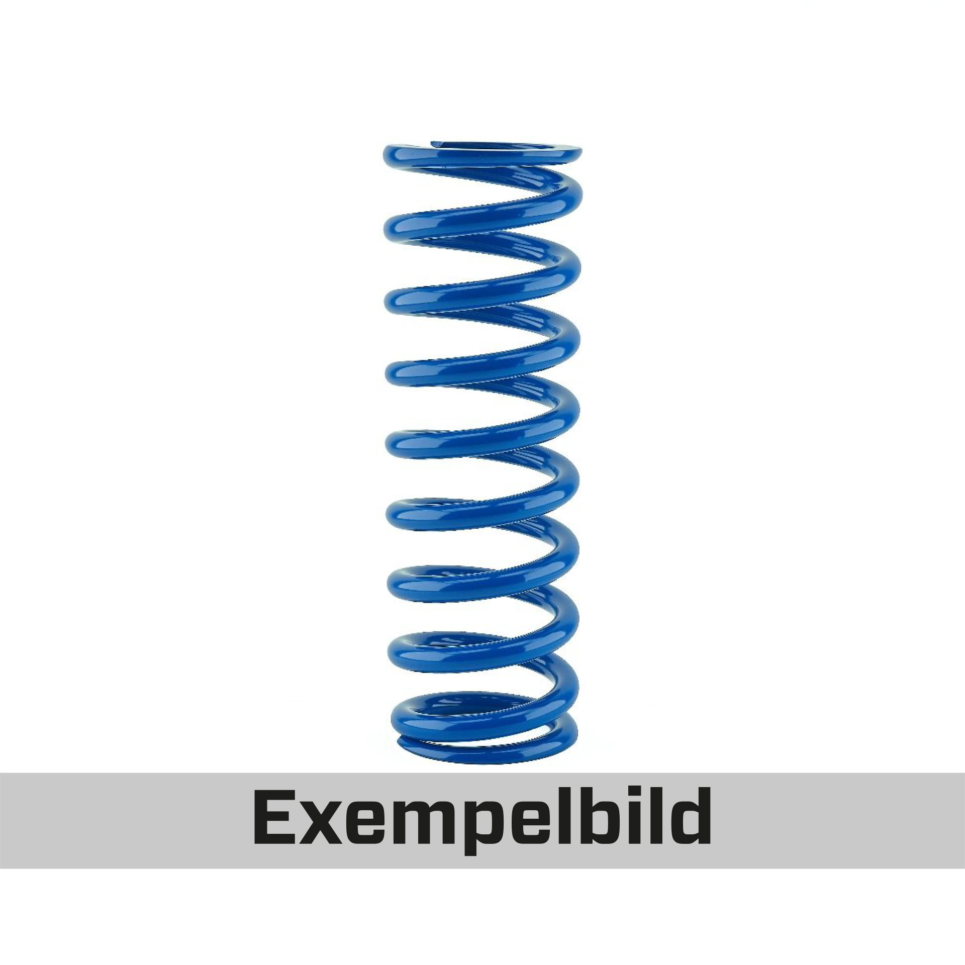 ktech-rear-spring-blue.jpg