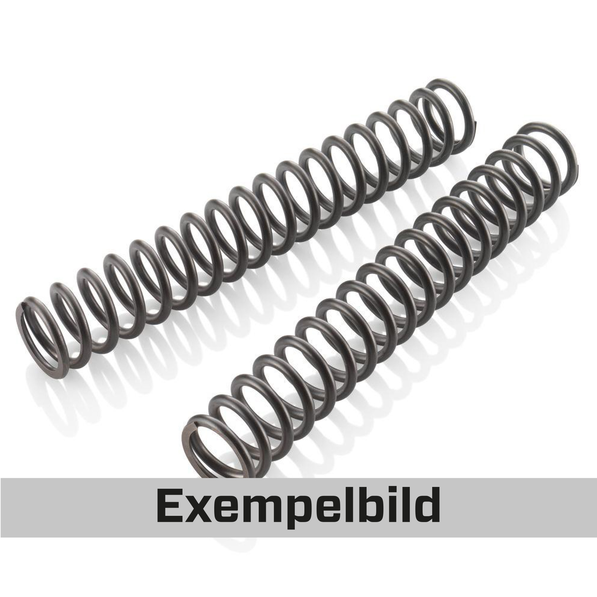 wp-front-spring.jpg