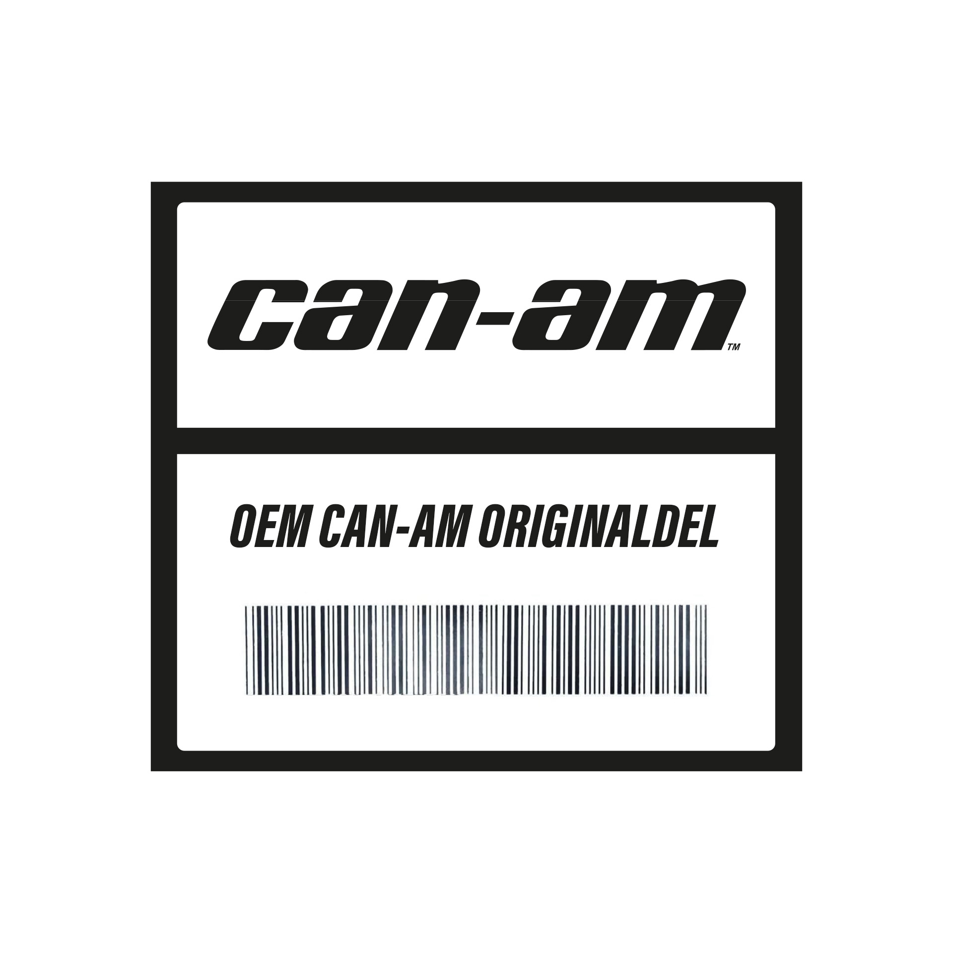 CAN-AM-OEM-EX.jpg